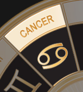 Rak – Cancer Rak – Cancer